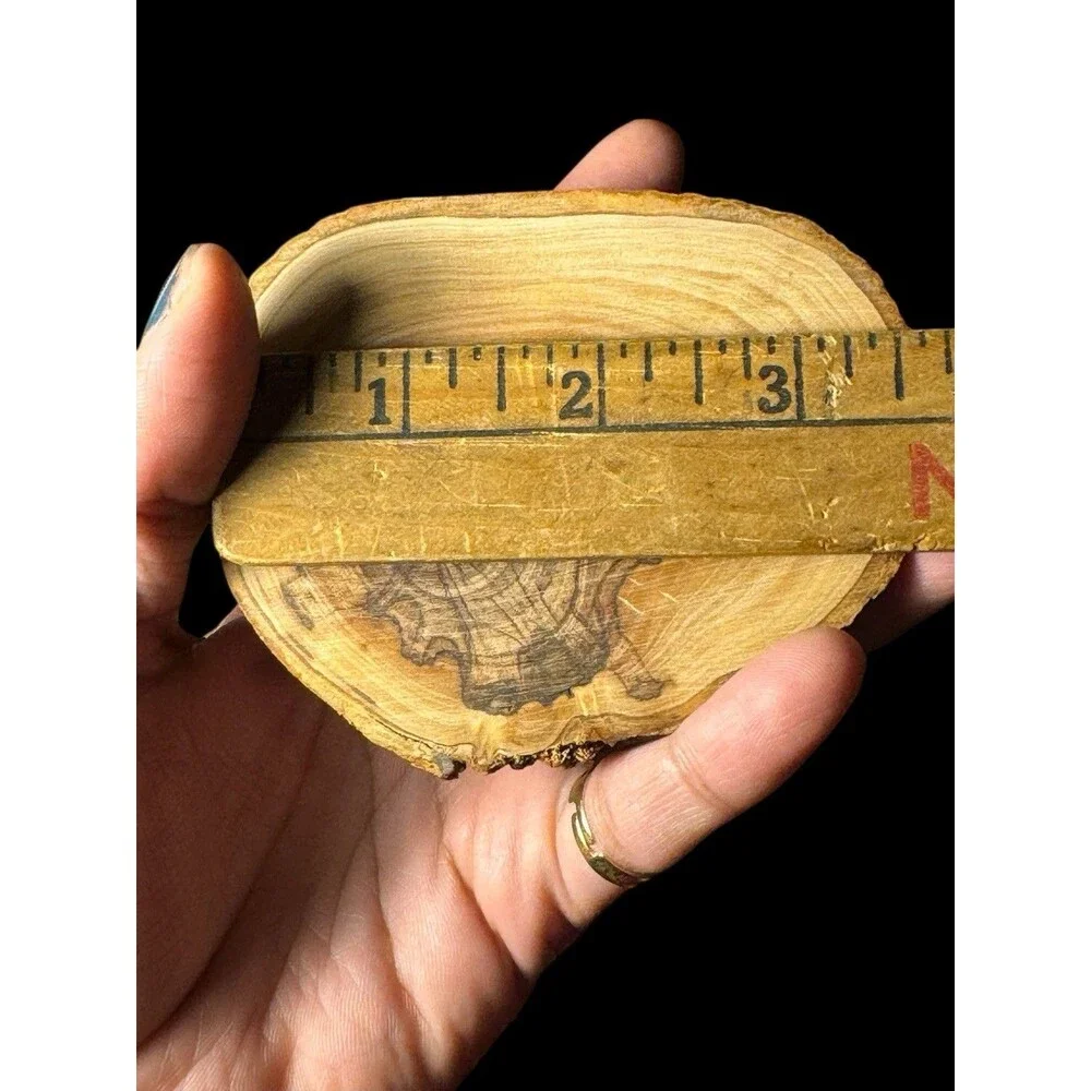 NEW Hand Carved Olivewood Bethlehem Nativity Scene from The Holy Land 3.5”